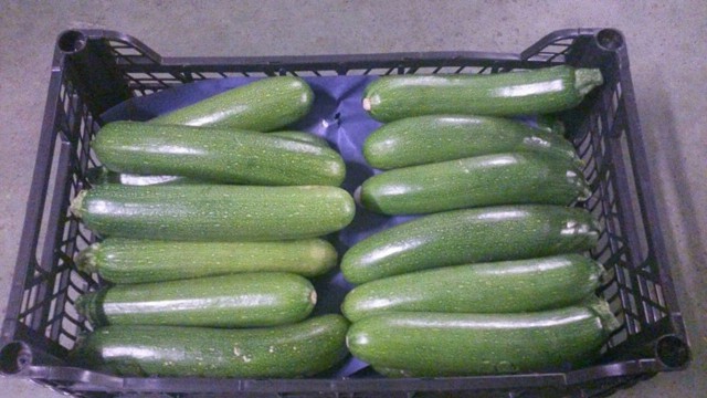 2015 01 vegania 002