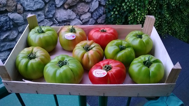 2015 01 vegania 016