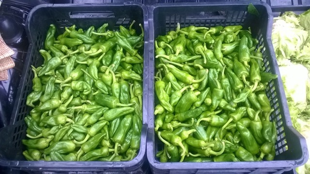 2015 01 vegania 017