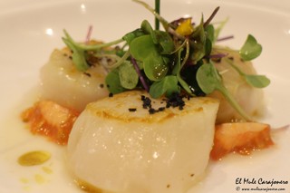 2015 02 carolinas celiacos 009
