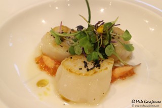 2015 02 carolinas celiacos 010