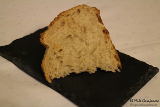 2015 02 cigalena maridaje 003