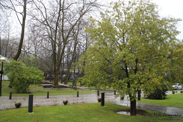 Balneario de Solares