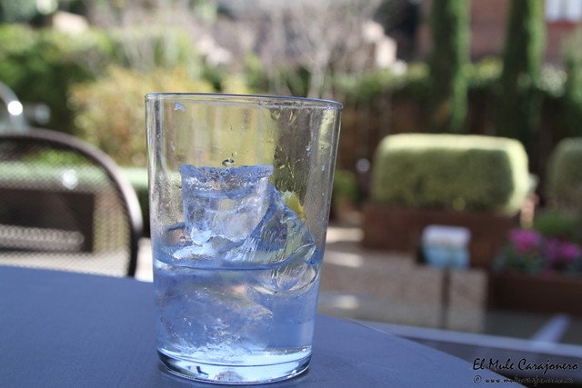 Gin Tonic XVIII Jornadas de Caza Hotel Santemar "La Gran Caceria"