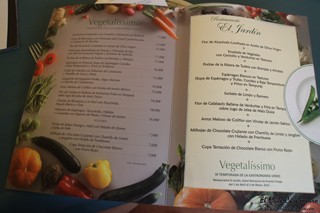 Carta IX Jornadas Vegetalíssimo