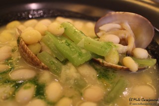 Pochas de la rivera de Tudela con borrajas y almejas Vegetalíssimo IX Jornadas