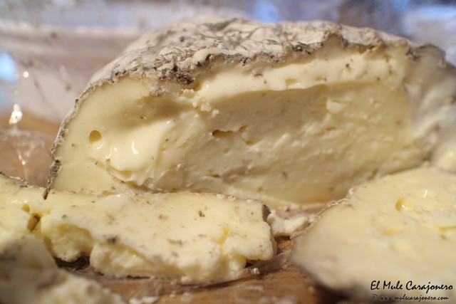 2015 producto cocinero 001