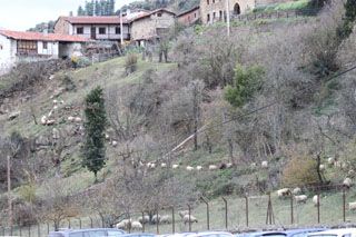 2010_fofi_017