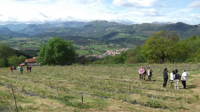 2015 04 mermeladas bosque encantadao 001