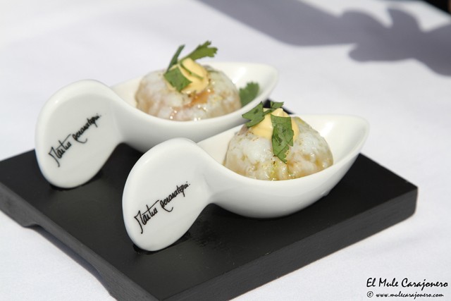 tapasm ivan mendez 018