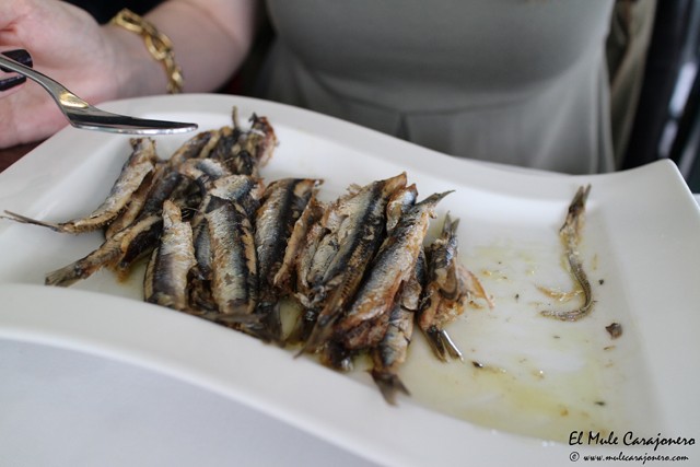 Restaurante Melly Somo