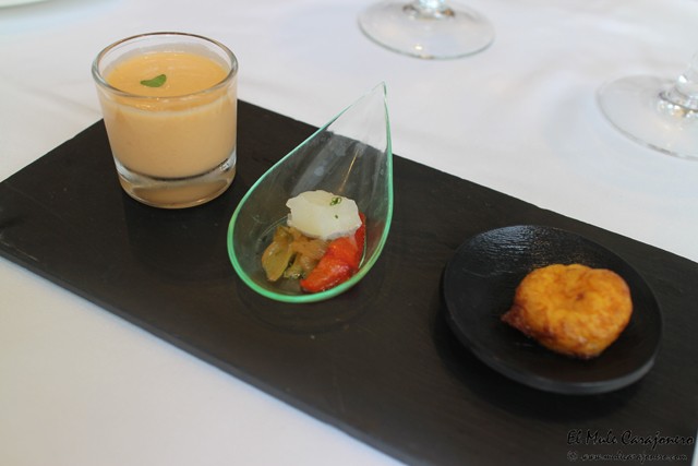 Hotel Escuela Las Carolinas Santander 2015