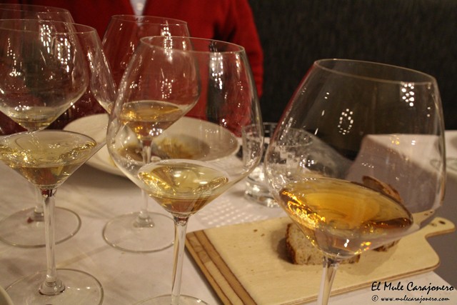 Bodega Cigaleña Sanatnder