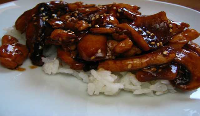 diccionario japones teriyaki