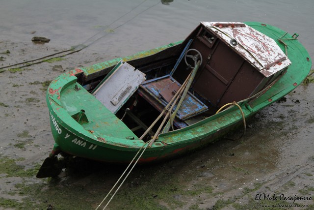 santona feria anchoa 2015 generic front