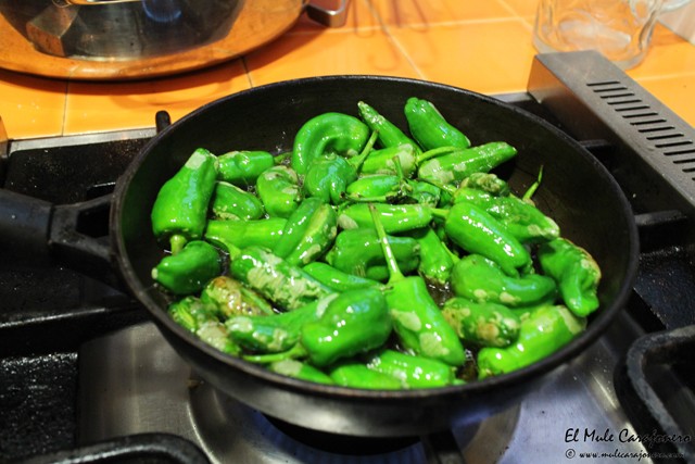 Cofradia Gastronomica Jano
