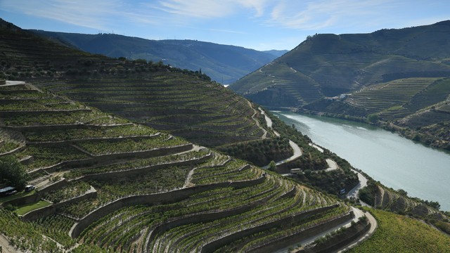 2005 06 oporto serbal op 001