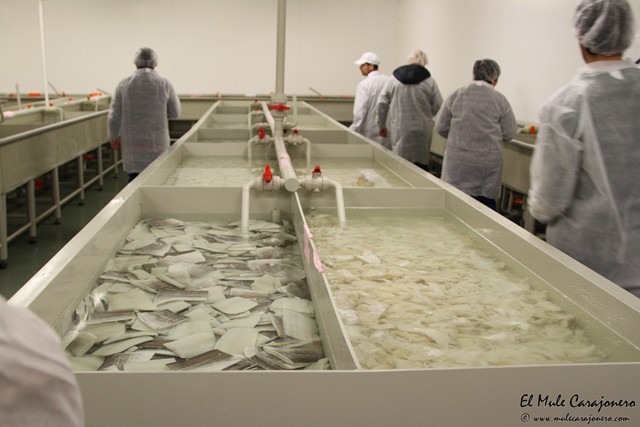 06 2015 visita instalaciones giraldo 014
