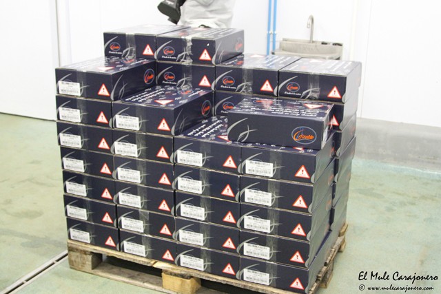 06 2015 visita instalaciones giraldo 036