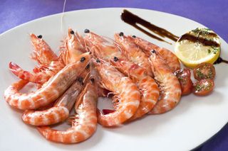el_pozo_003