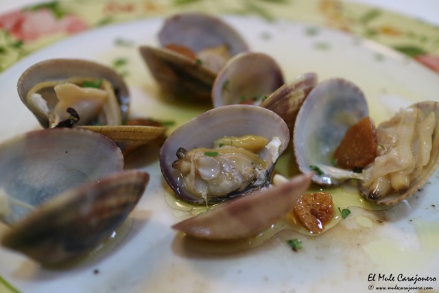 Castro Urdiales Restaurante La Arboleda