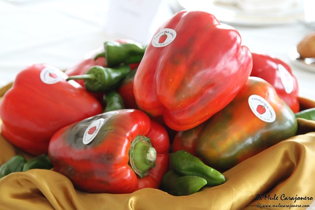 III Feria del Pimiento de Isla