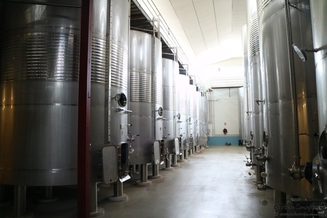 Bodegas Ramírez de la Piscina