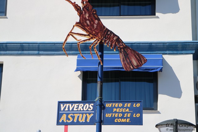 VIII jornadas de la Langosta en el Hotel Astuy de Isla
