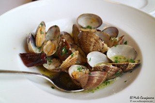 Hotel Restaurante Olimpo Isla