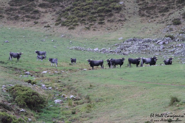 Lebana Parque Natural Picos de Europa Otoño ruta Hostal Remoña