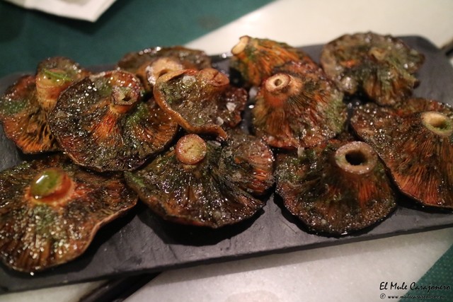 Barcelona Restaurante Bodegueta Provença