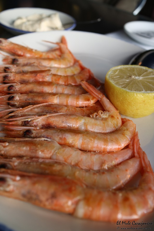 Castro Urdiales Restaurante el Puerto de Santa Maria