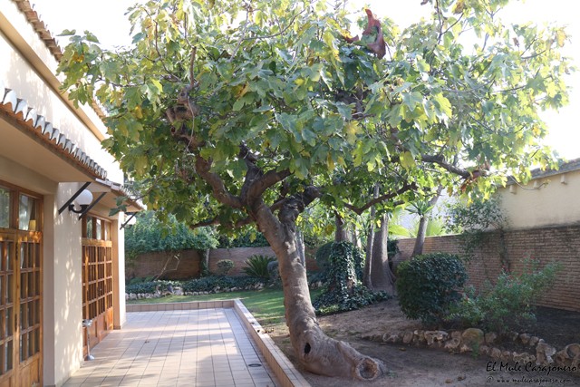 Restaurante Granja Santa Creu San Antonio de Benageber Valencia