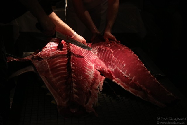 Ronqueo y Jornadas del atún en restaurante La Dársena de Suances