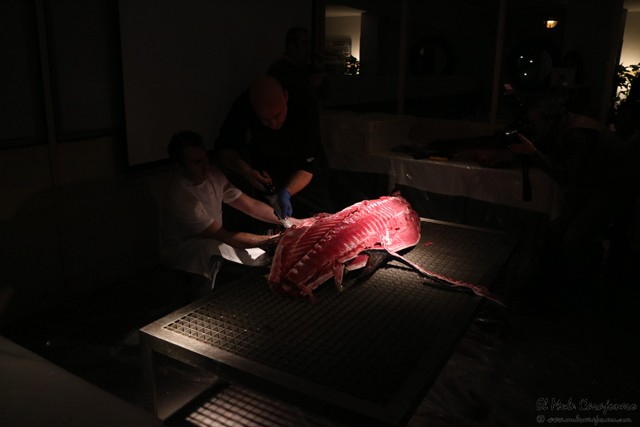 Ronqueo y Jornadas del atún en restaurante La Dársena de Suances