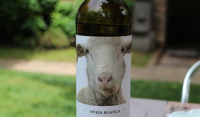 2015 12 santa luzia 001