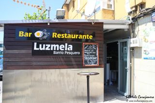 2014 06 luzmela 009