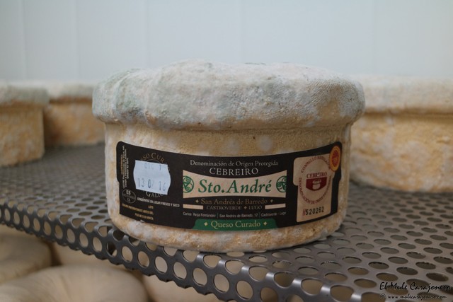Queseria Sto. Andre Queso del Cebreiro
