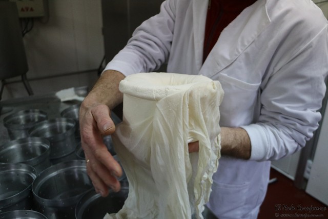 Queseria Sto. Andre Queso del Cebreiro