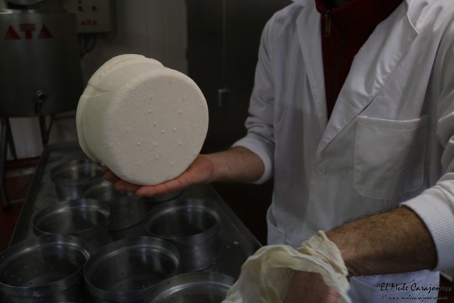 Queseria Sto. Andre Queso del Cebreiro