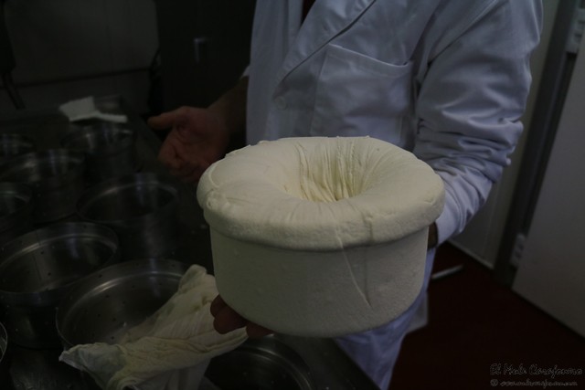 Queseria Sto. Andre Queso del Cebreiro