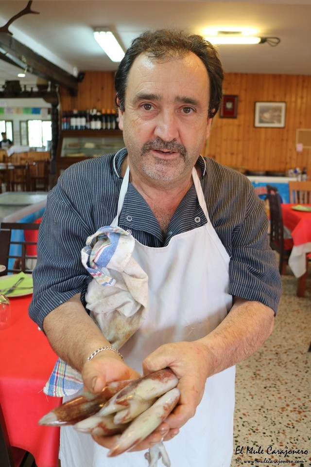 Restaurante Camping Las Arenas Pechon Cantabria