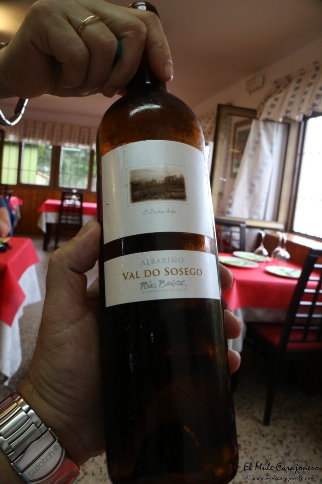 Restaurante Camping Las Arenas Pechon Cantabria