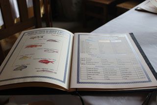 2010_tira_000