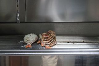 2010_tira_000