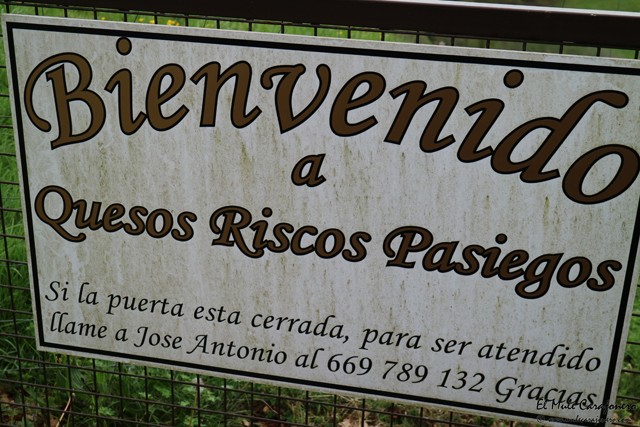 Queseria Riscos Pasiegos Saro Cantabria