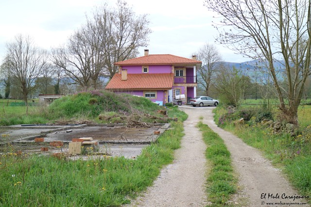 Queseria La Sobanuca Saro Cantabria
