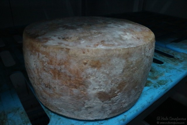Queseria La Sobanuca Saro Cantabria