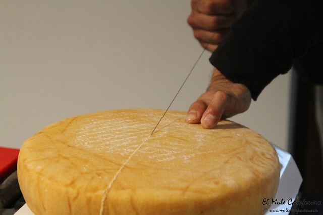 Queso asadero pasiego en la Jarradilla Valles Pasiegos Cantabria
