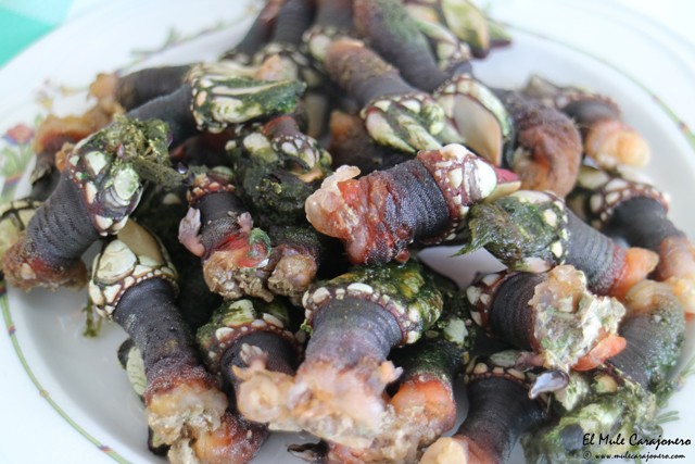 restaurante La Caracola Somo